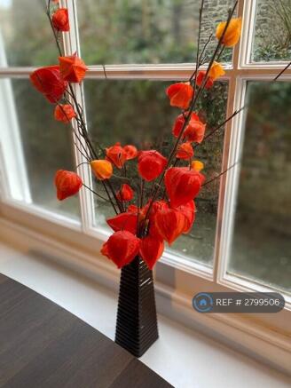 Tastefully Furnished 