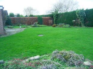 Rear view