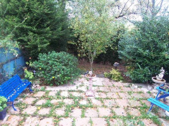 Patio Area