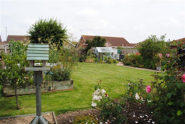 Garden Continued