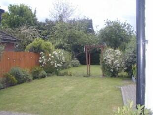 Rear Garden 3