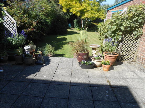 Photo 9