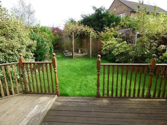 rear