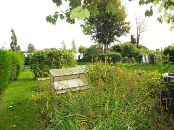 Vegetable garden
