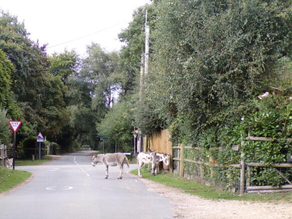 Photo 22
