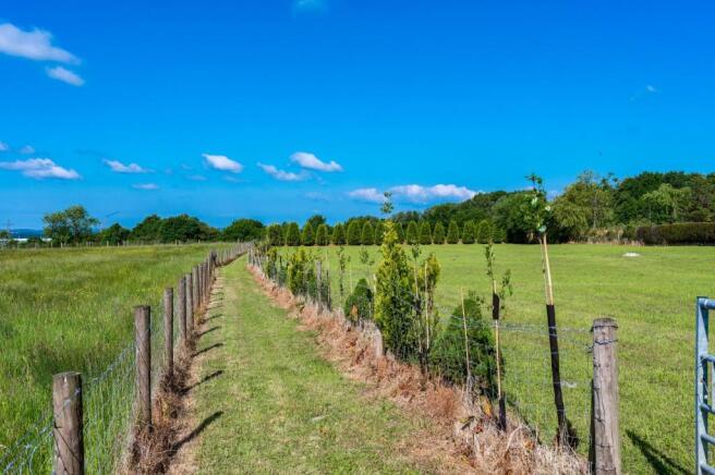 _DSC6691.jpg