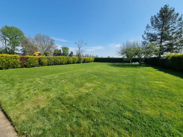 The Paddock