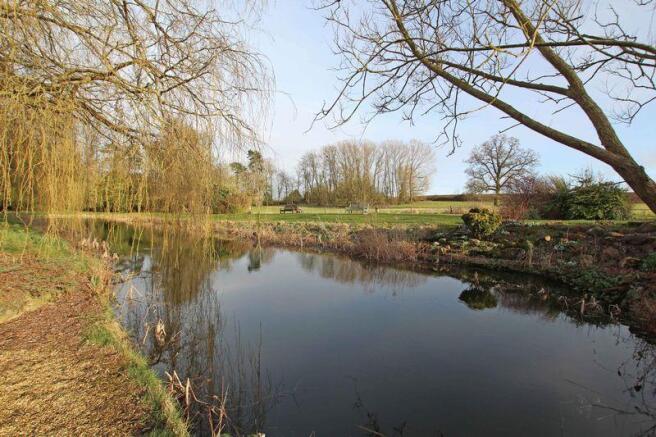 Pond