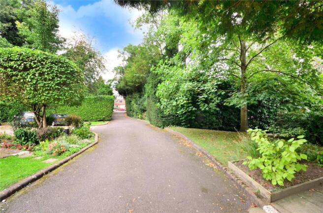 Driveway