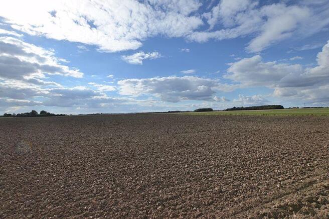 Farmland view