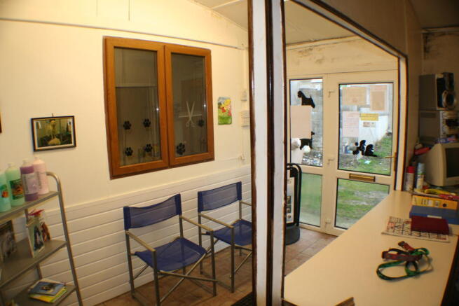 Photo 5