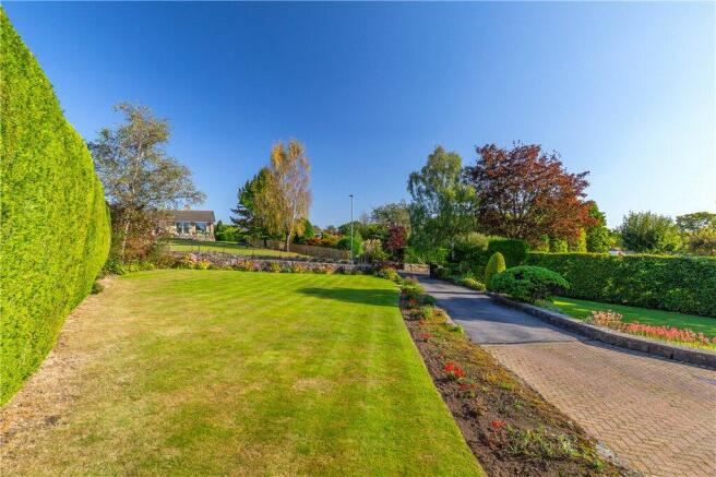 Extensive Grounds