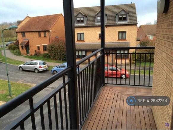 Photo 15