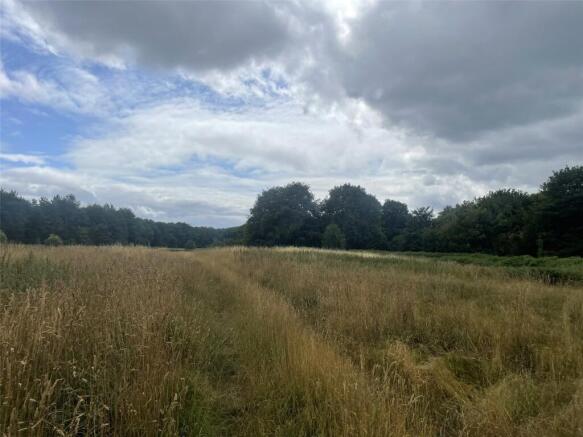 Buckshaft, Cinderford, GL14 photo 5