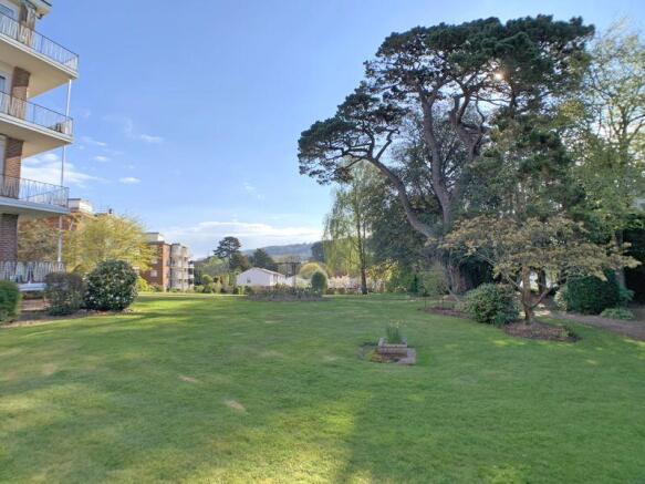 Communal Garden
