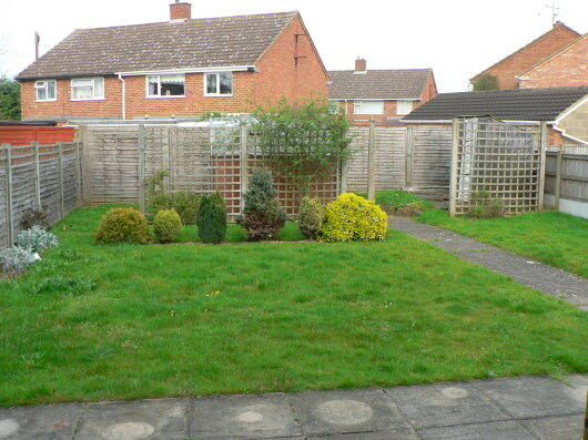 Photo 4