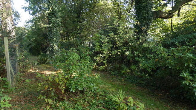 Photo 24