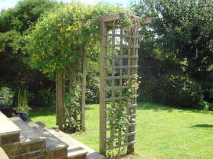 Garden Picture 2