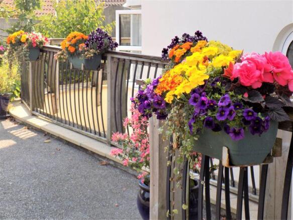 Flowers at the Entrance