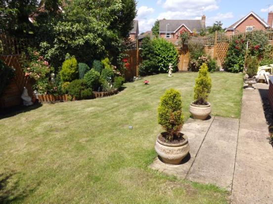 Garden 2