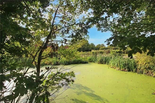 Pond