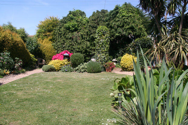 Photo 5