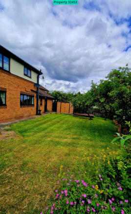 Back Garden