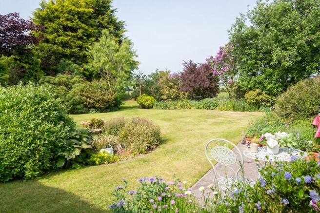 Rear garden