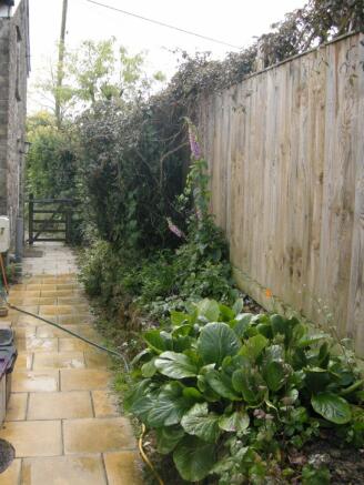Photo 15