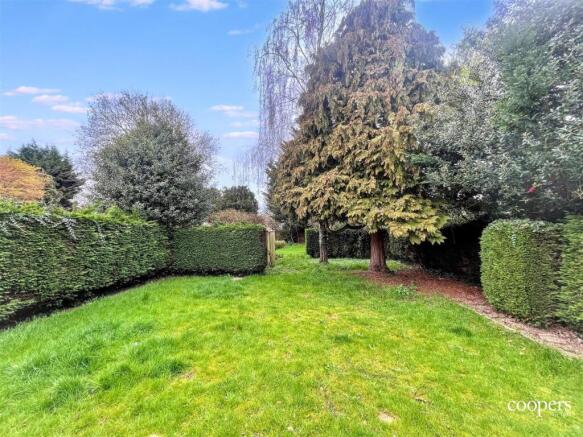 Garden 2 (1).jpg