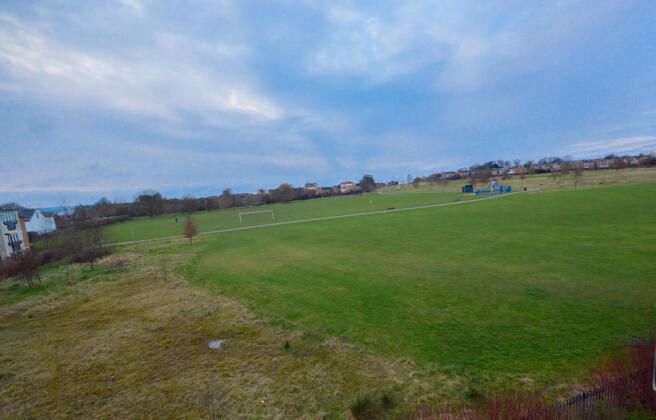 Overlooking Field...