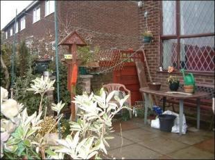 Back Garden