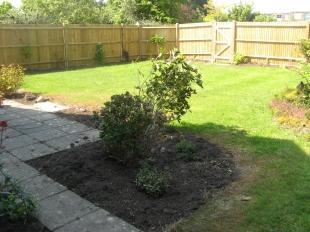 Rear Garden 1