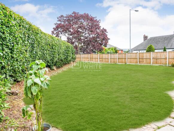 Garden/Illustration Purpose