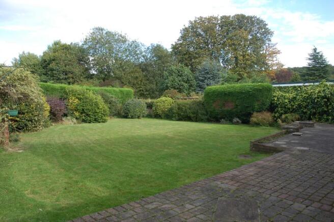 Photo 4