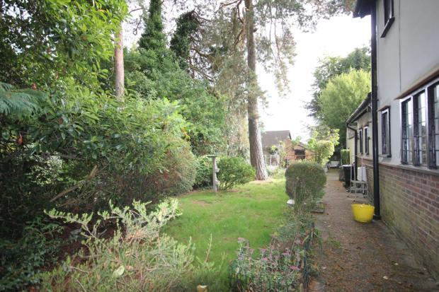 Side Garden