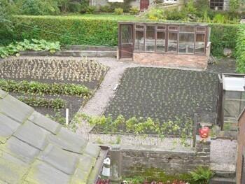 Vegetable Patch