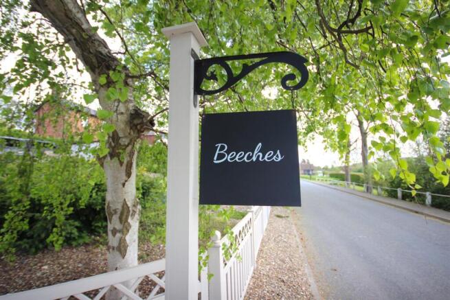 Beeches (20).jpg