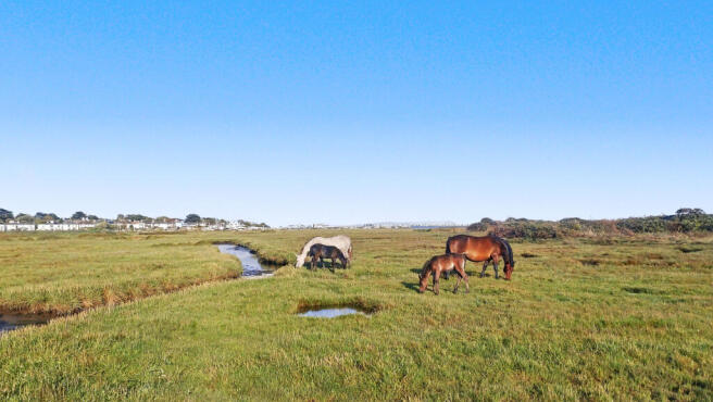 Nearby Stanpit Marsh