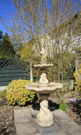Photo 25