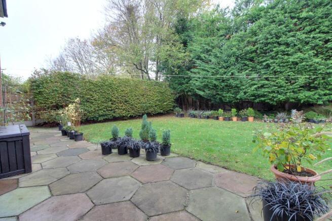 Garden at Back