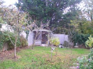 Garden 1