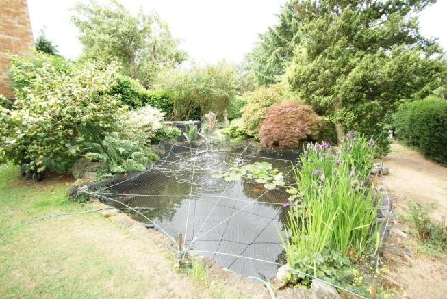 Pond