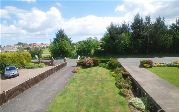 front garden/view