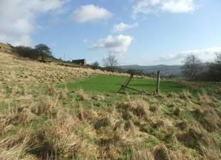 The Land