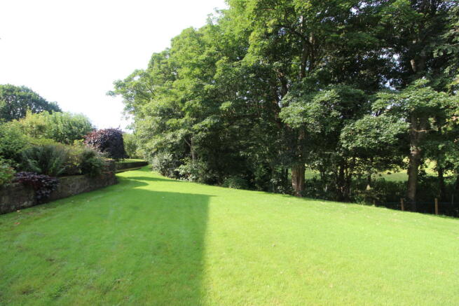 J Front Garden 2.JPG