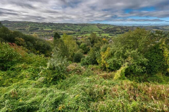 View from Bedroom.jpg