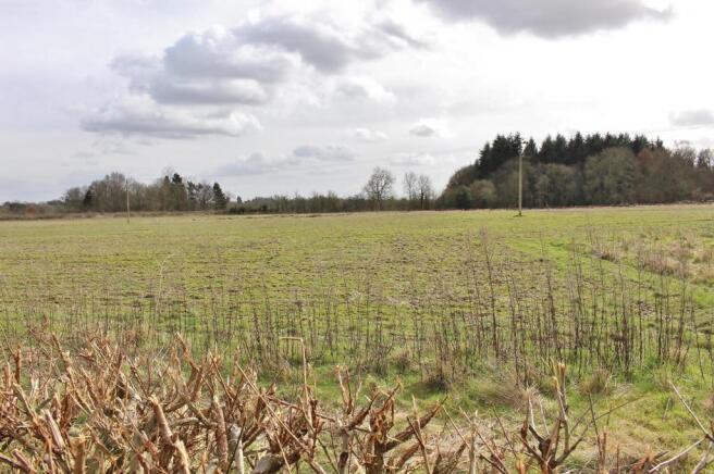 Adjacent Field.JPG