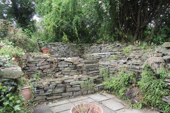 BACK GARDEN