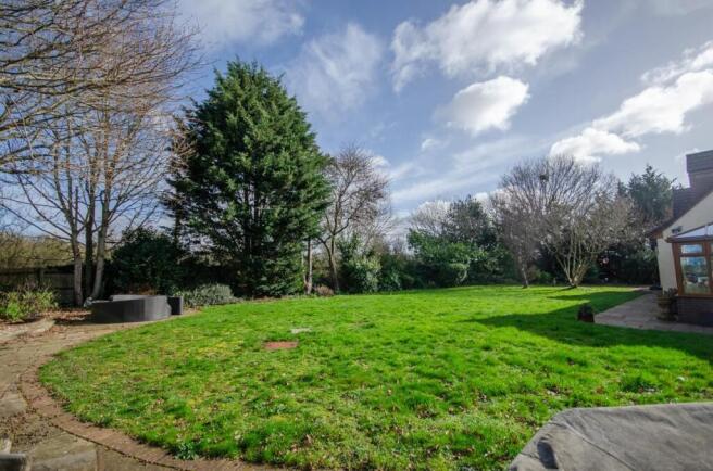 Front garden.jpg